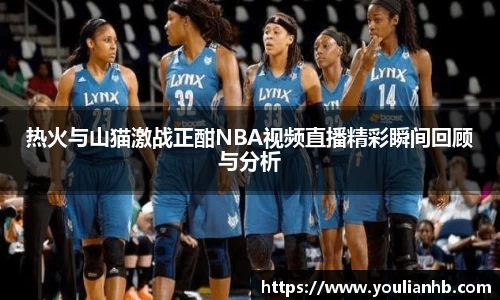 热火与山猫激战正酣NBA视频直播精彩瞬间回顾与分析