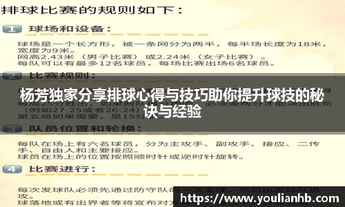 杨芳独家分享排球心得与技巧助你提升球技的秘诀与经验