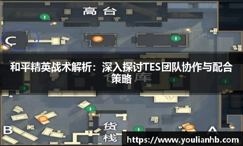 和平精英战术解析：深入探讨TES团队协作与配合策略